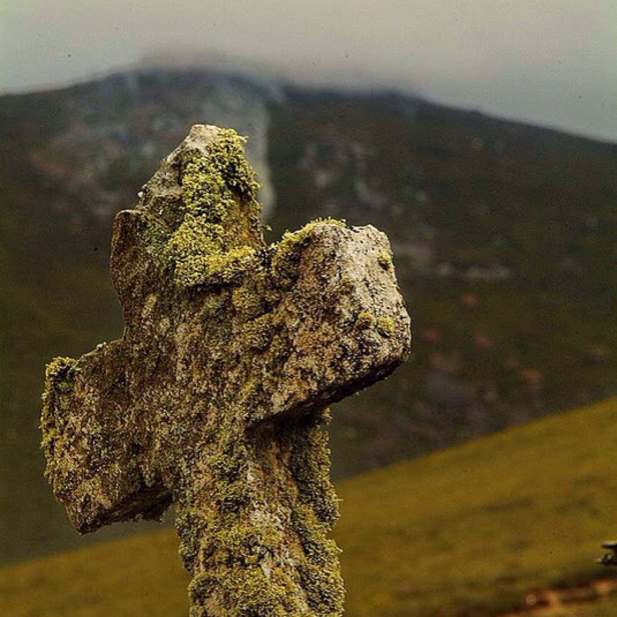 fjperezrod's profile picture. ...del Atleti y de Ultravox.