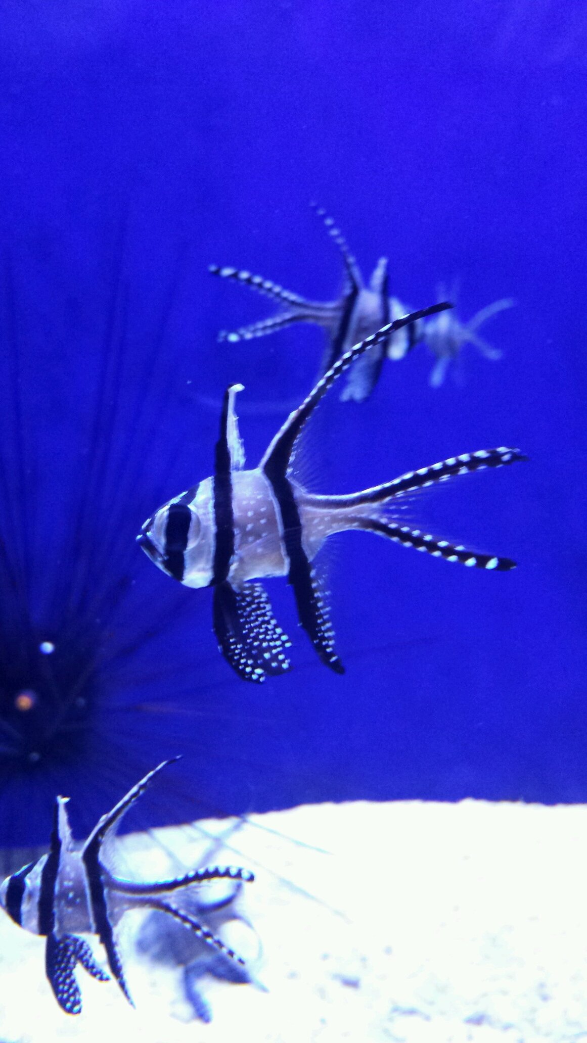 t_joris's profile picture. 