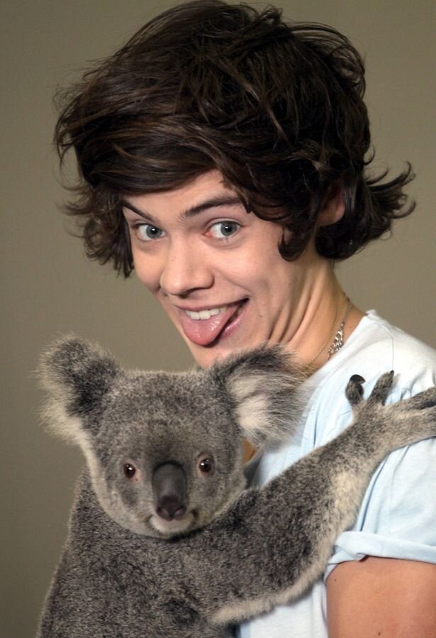 I LOVE My Boo, Harry!