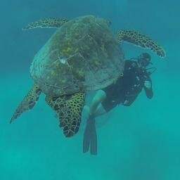 wdscherbarth's profile picture. 