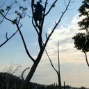 Eric Rusch Jr. - @rusched - Twitter