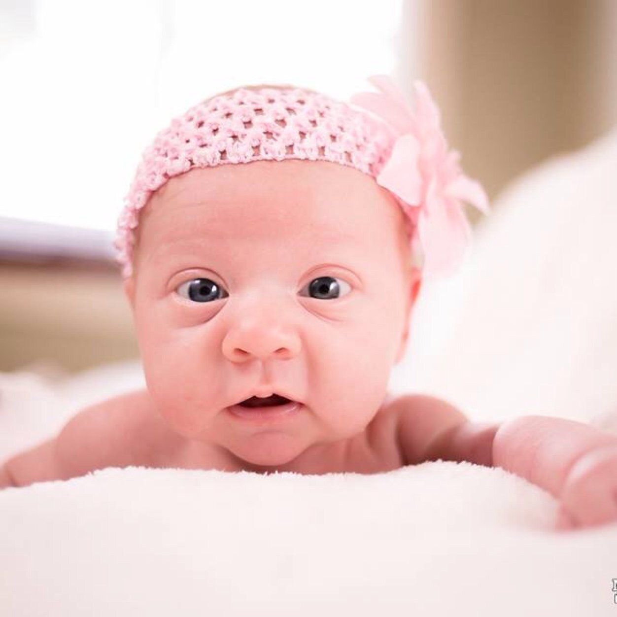 Brydar1's profile picture. 