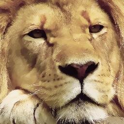 Bulgarano's profile picture. 