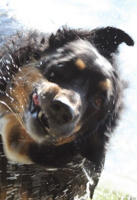 DonaldsonLyle's profile picture. In training for Ottawa Marathon 2014