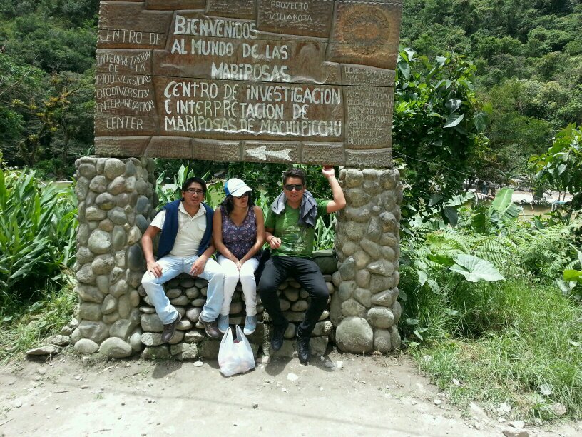 Médico Veterinario