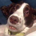 Stuart crowe - @CroweStu - Twitter