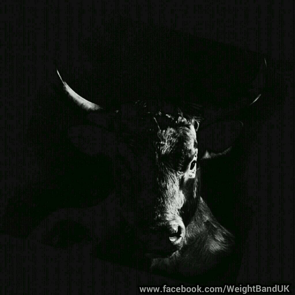 alinack's profile picture. 