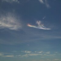 jumblemaven (@jumblemaven) 's Twitter Profile