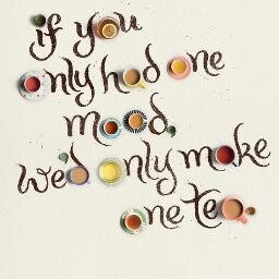 TeaSort's profile picture. 