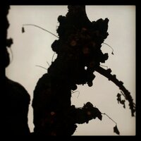 Israel Estopà (@isestmat) 's Twitter Profile