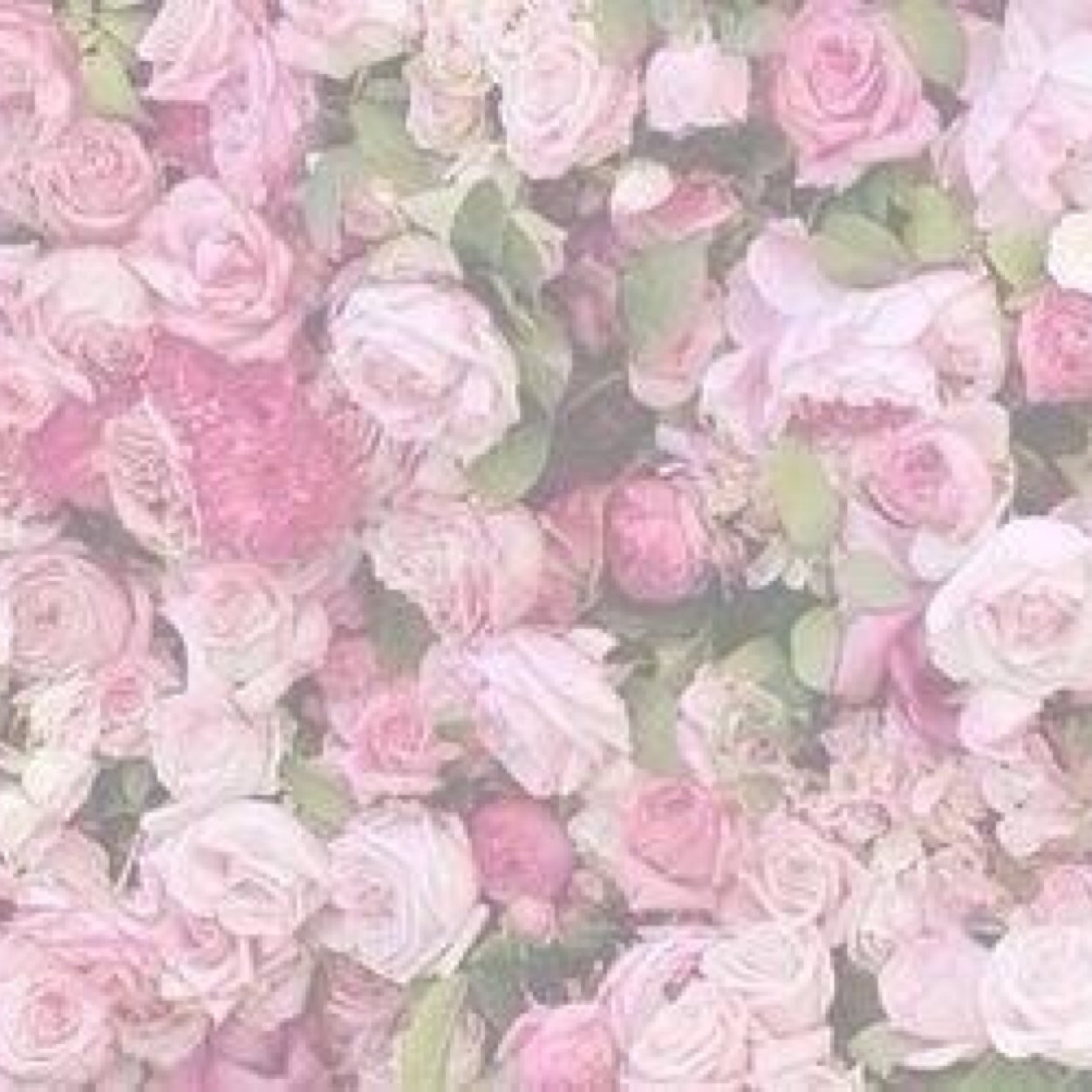 \\ multifandom //