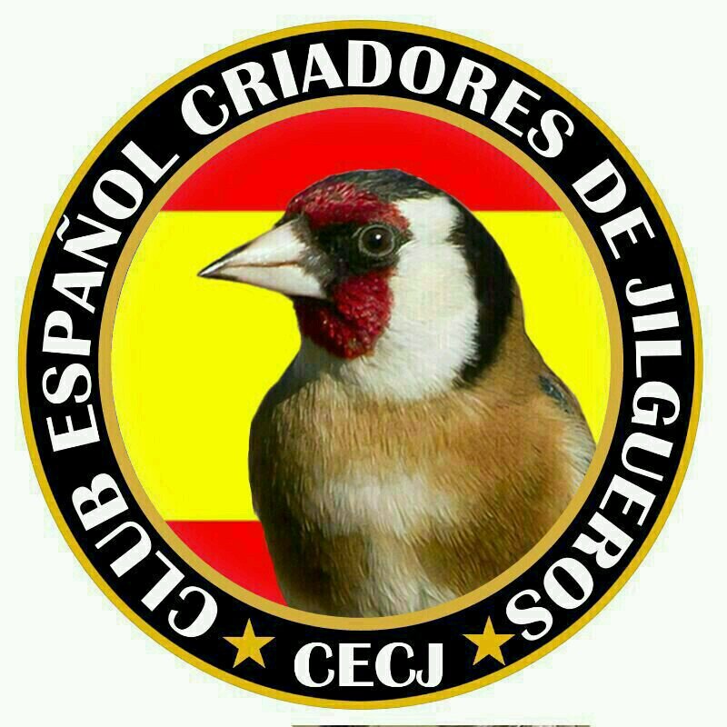 cecjilgueros's profile picture. 