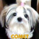 Allan Mallari Miasco - @freeman8989 - Twitter