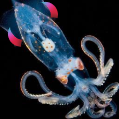 AoiiAoii6's profile picture. 