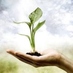 Solutions in search of problems; ambition in search of purpose.  Entrepreneurship: because this generation has no other options.