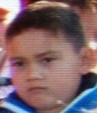 SanderHave Profile Picture