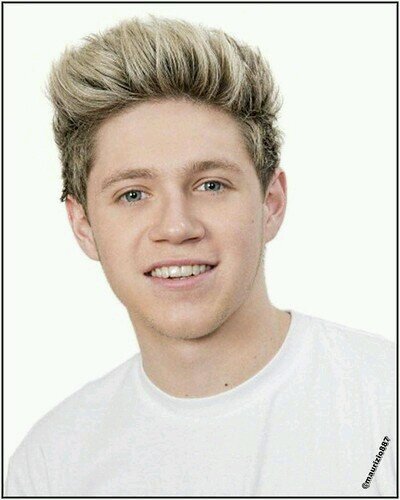 ( Directioner Forever )