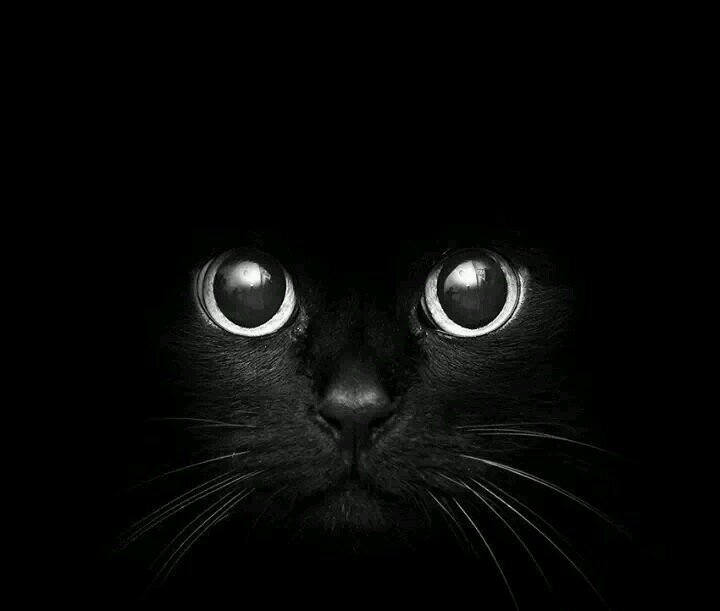 LordSexOne's profile picture. Amante Dedicado y Maestro Sexual