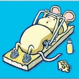 MC_Brig's profile picture. 