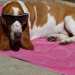 jostrip Profile Picture