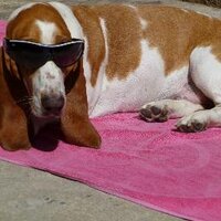 jocelyne berrios (@jostrip) 's Twitter Profile