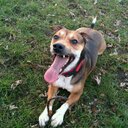 Jan Krause - @TWLZKrause - Twitter