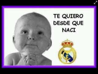 Rony pett