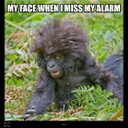 Danielle Kearns - @dannymk1978 - Twitter