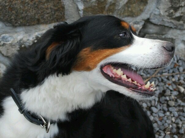 jen_errantlight's profile picture. 