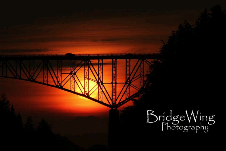 BridgeWingPhoto's profile picture. Husband and wife team. We love Wildlife, Landscapes, Wedding, Family and Portrait photography