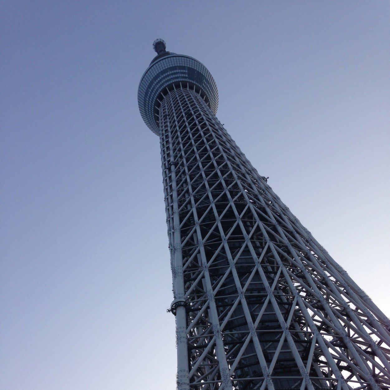 こんにちは⭐️ときどき気まぐれに投稿してます☺️静かにフォローとつぶやきを拝見させてもらえたら嬉しいです😆至らない部分もあるかとは思いますが宜しくお願い致します⭐️ミドリガメ♂16歳アリ🐢