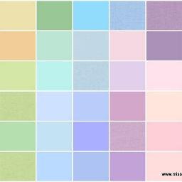 mnfollow1's profile picture. 