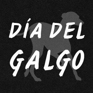 World Galgo Day brings awareness to the plight of the Galgo in Spain and the cruel ways they are raised, trained and killed.