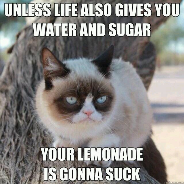 I'm not pessimistic...more of a sarcastic optimist.