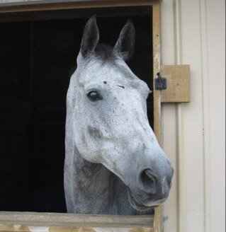 mbchrisross's profile picture. ❤️@Supernatural ❤️@JensenAckles