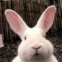 david calva - @CdcalvaCalva - Twitter