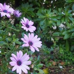 Servicios de Terapias Naturales y experiencias de bienestar.Reiki-Cursos y Talleres-Encuentros-Productos.Reservas: info@casapiedraluna.cl