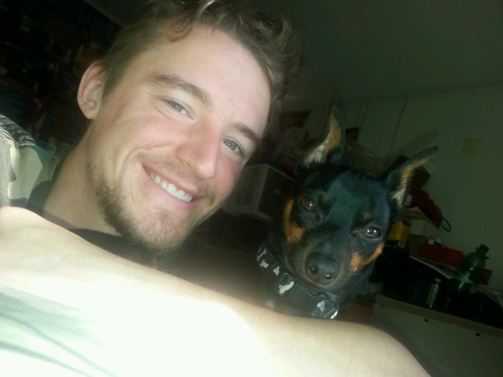 3sheamus's profile picture. 