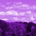 Heather Vineyard - @VineyardHeather - Twitter