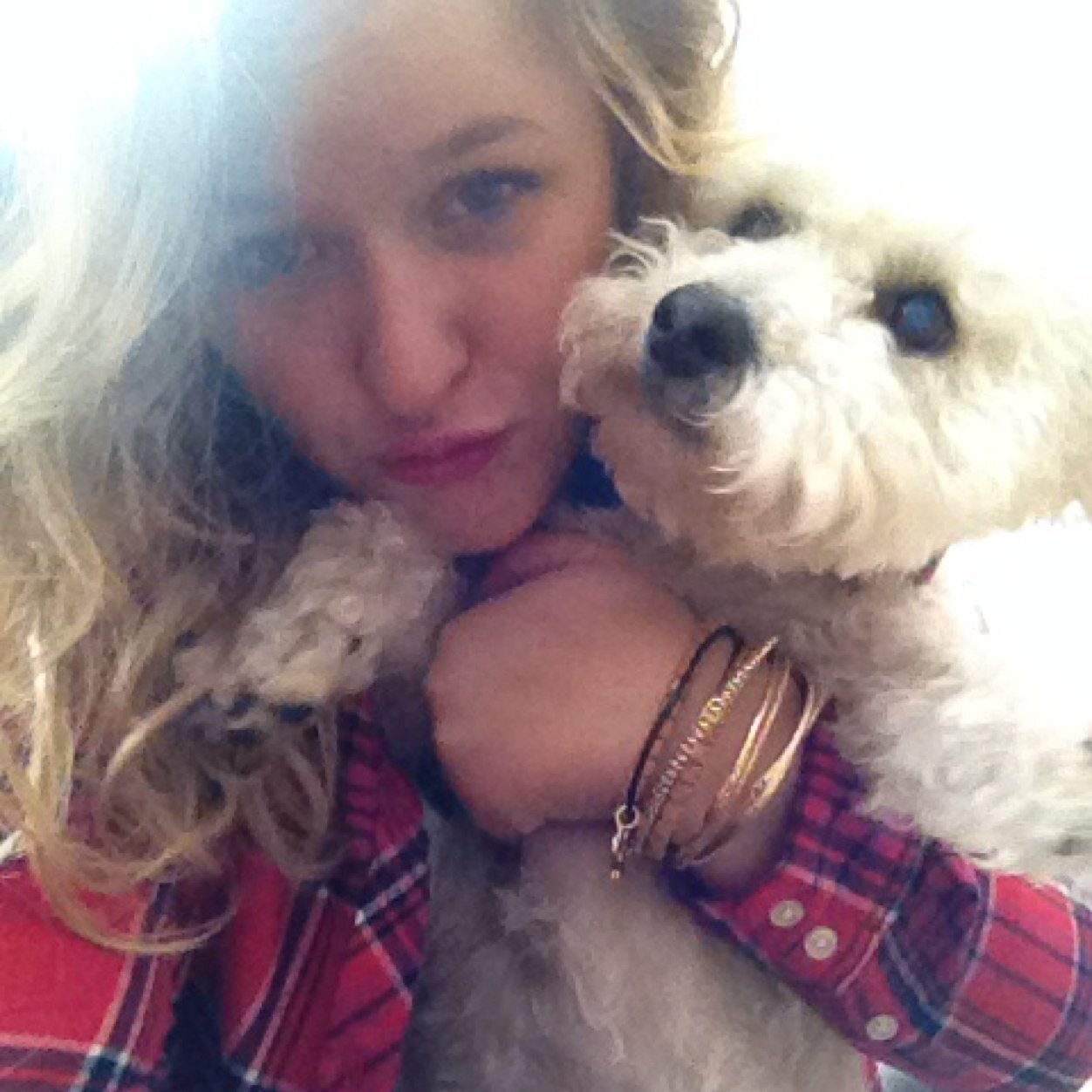 hails_tweets's profile picture. 