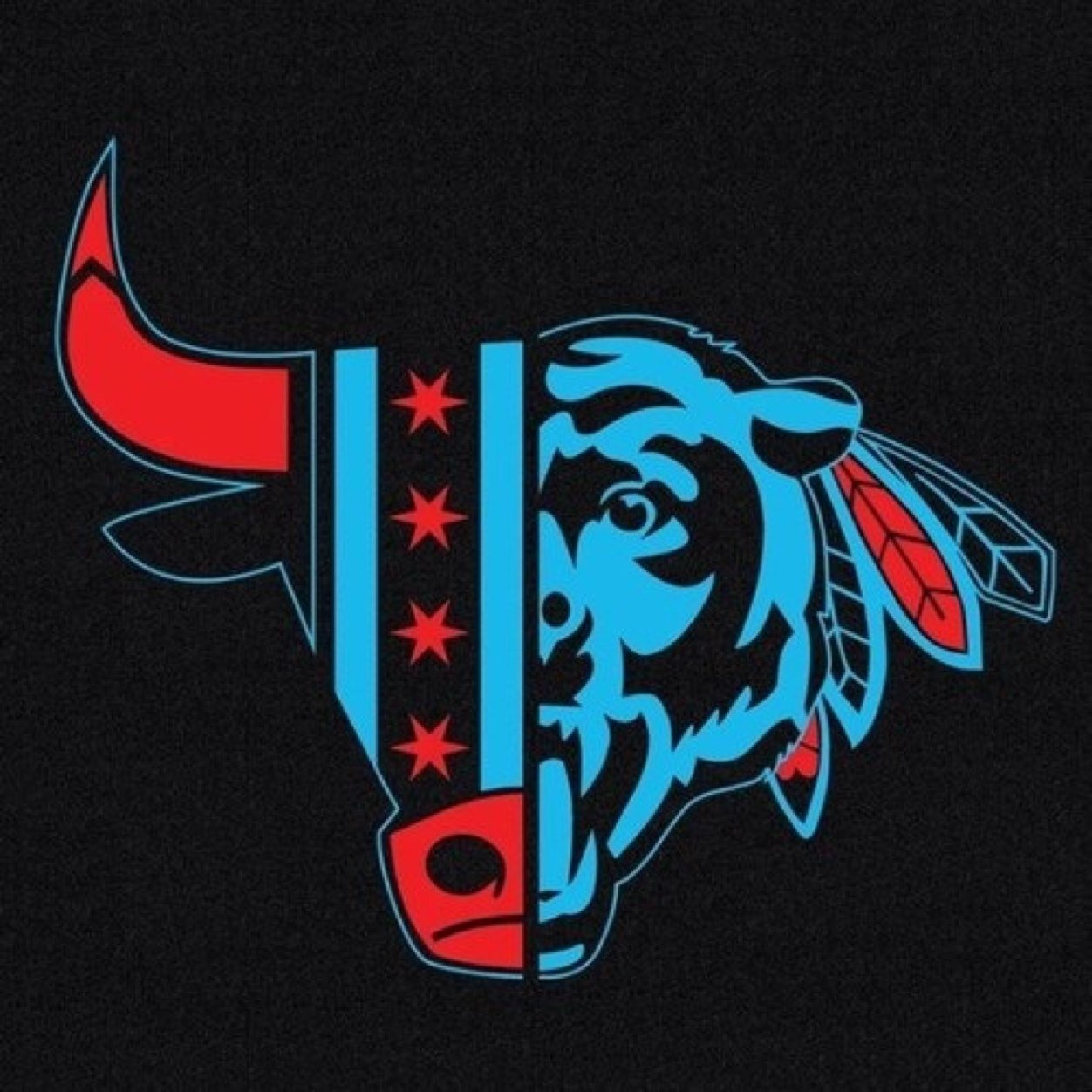 Wife, mother, grandmother, Die hard CHICAGO fan- Bulls, Bears, Blackhawks and Cubs!!! and BIG TIME MILITARY SUPPORTER!