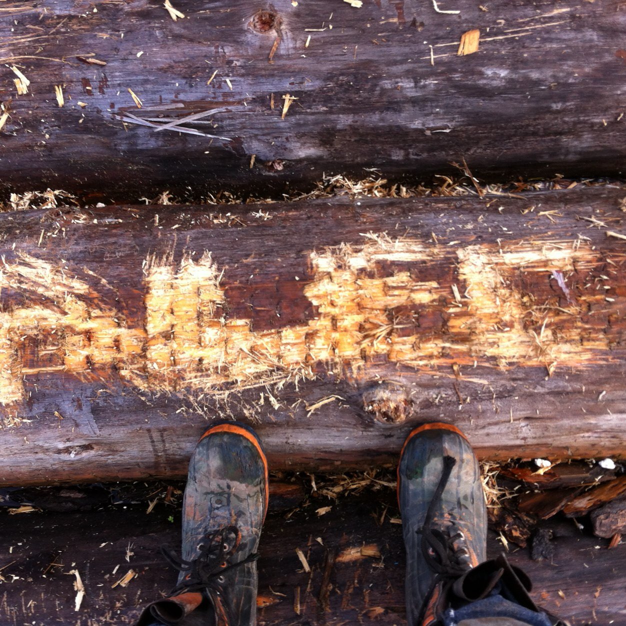 AlecTuura's profile picture. 