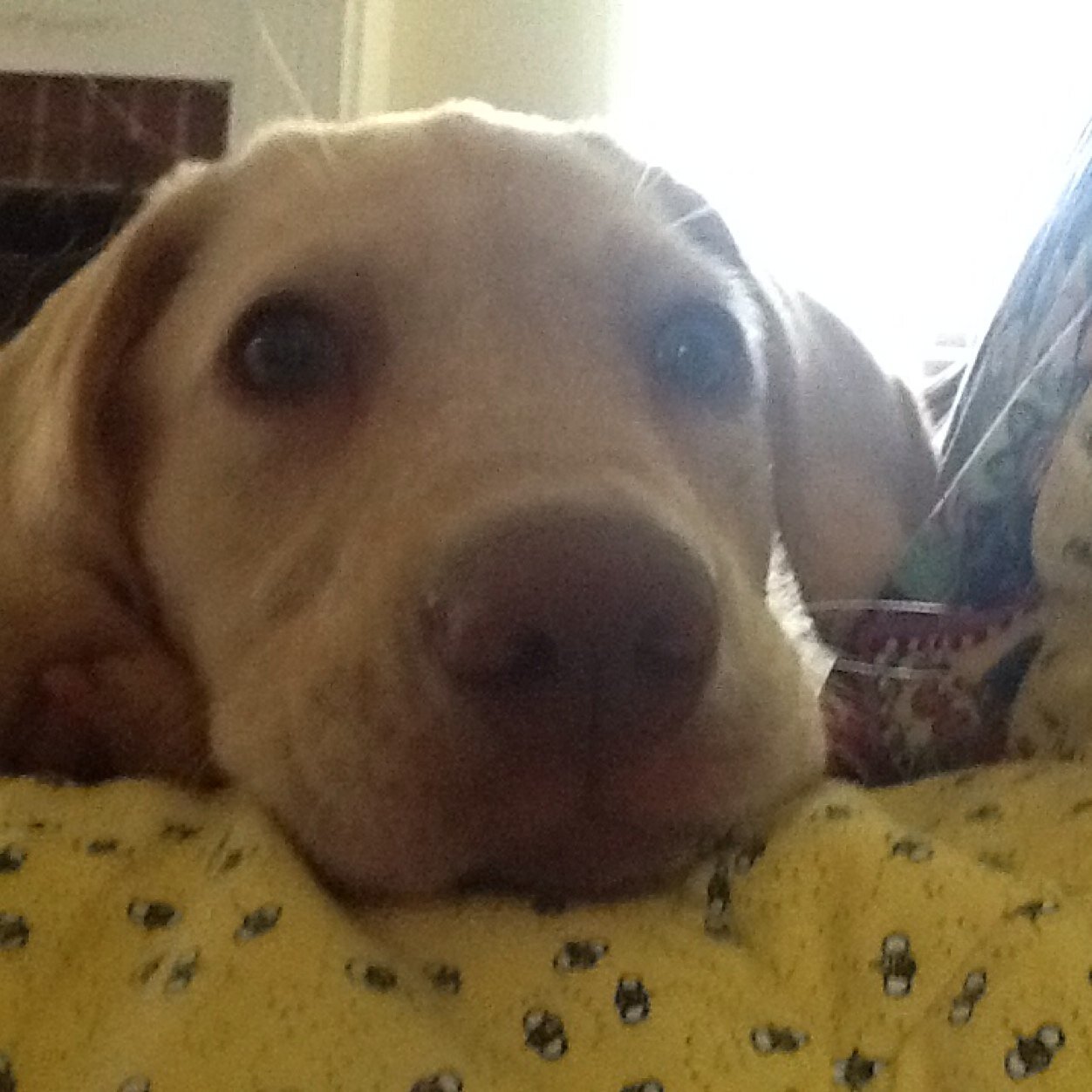 krbundri's profile picture. 