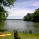 Gary Elder - @Gary_A_Elder - Twitter