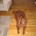 Eric Armbruster - @srtelf69 - Twitter