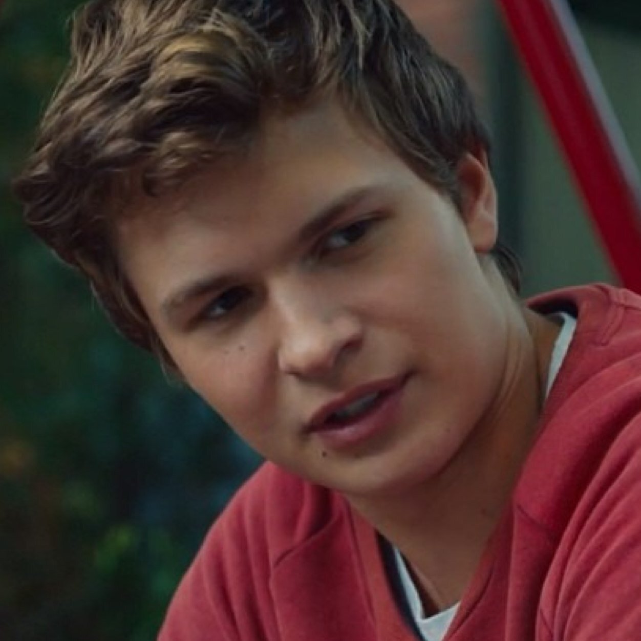 I just love Ansel Elgort, Okay? Okay. He's the Augustus to my Hazel and the Caleb to my Suzan #AnselTho #Anselite