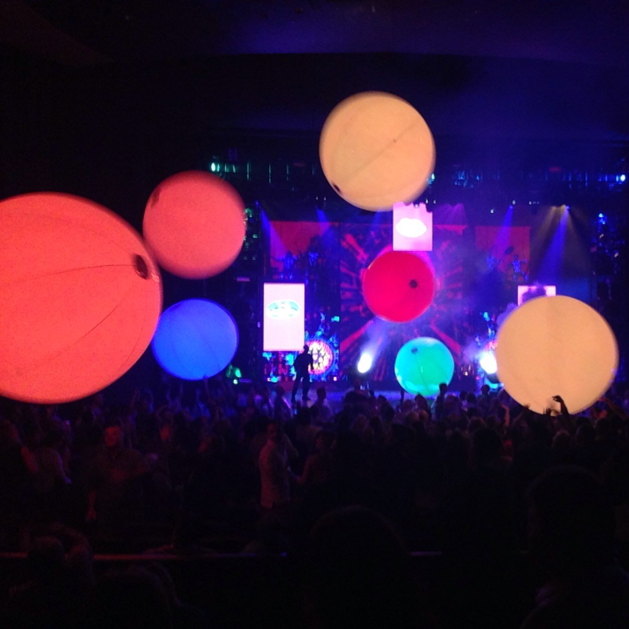 Dominthepines's profile picture. 