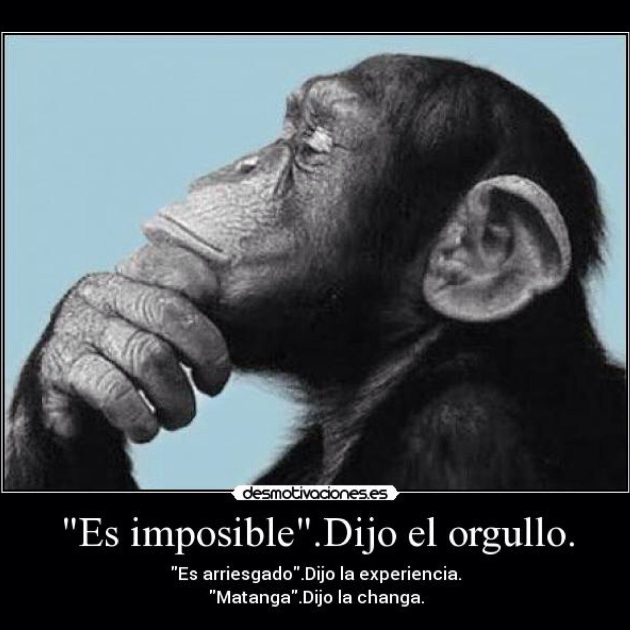 Compartimos sabiduría al mundo. Usa el hashtag #FrasesInmortales