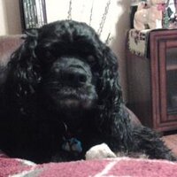 Bruce Lawson (@bluetiderolling) 's Twitter Profile Photo Bruce Lawson (@bluetiderolling) 's Twitter Profile Photo