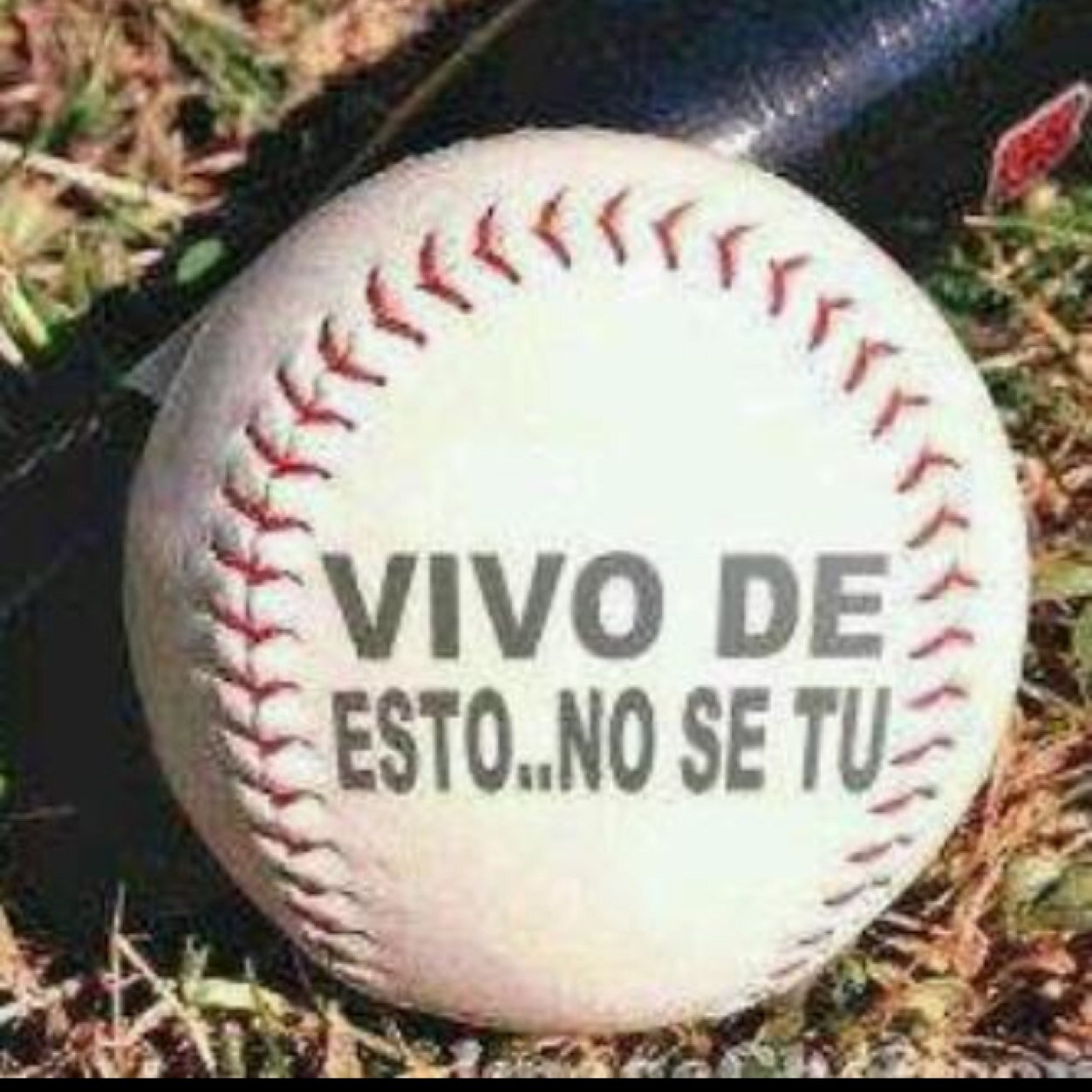 Lugar para ver y hablar de softball y algo más. Estadio Bicentenario La Rinconada del Cercado, Responsabilidad social c/Esc de Sofball Infantil Abejitas de Lara